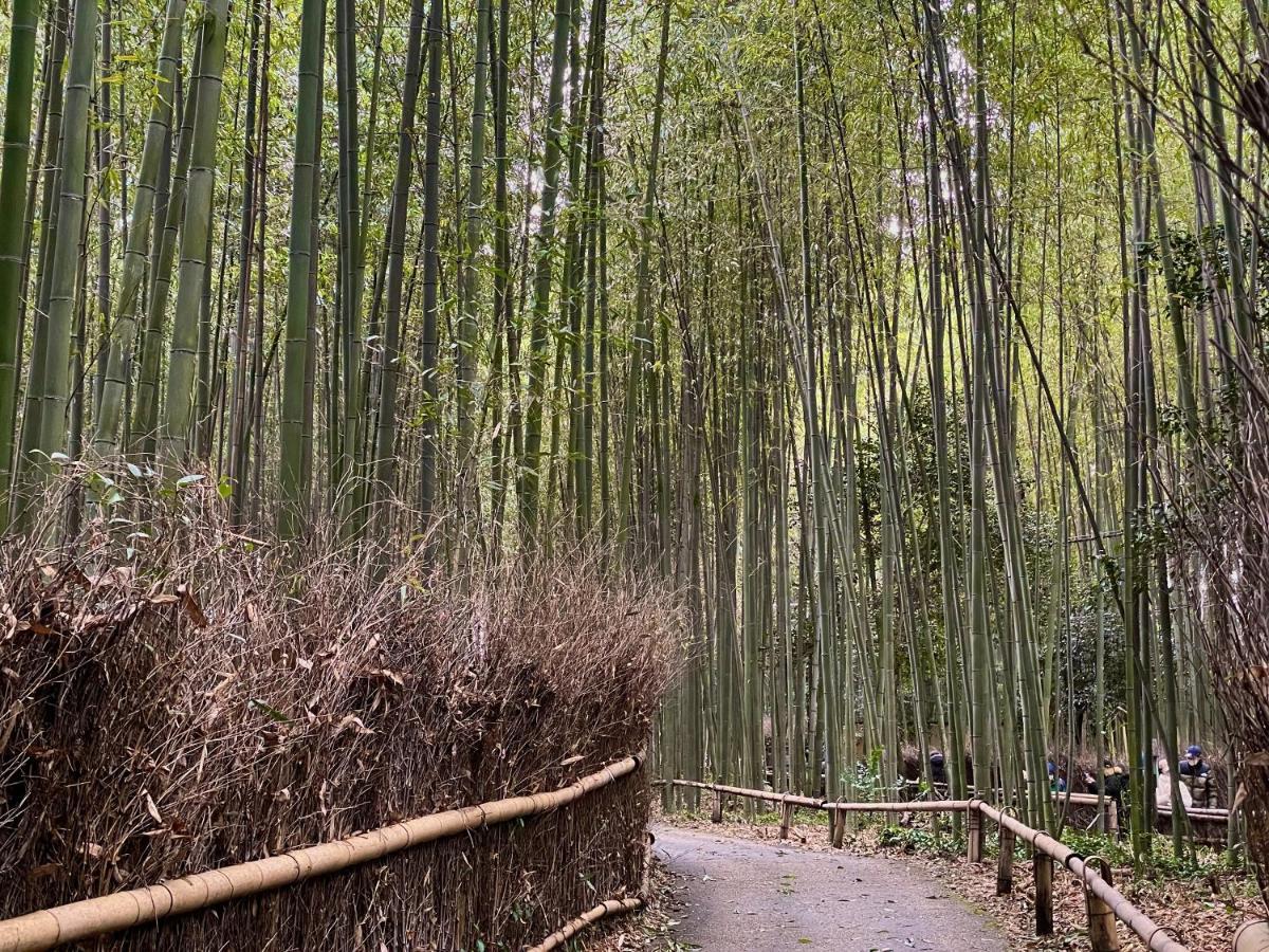 Отель Yado Arashiyama Киото Экстерьер фото